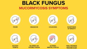 What is the Black Fungus all about?