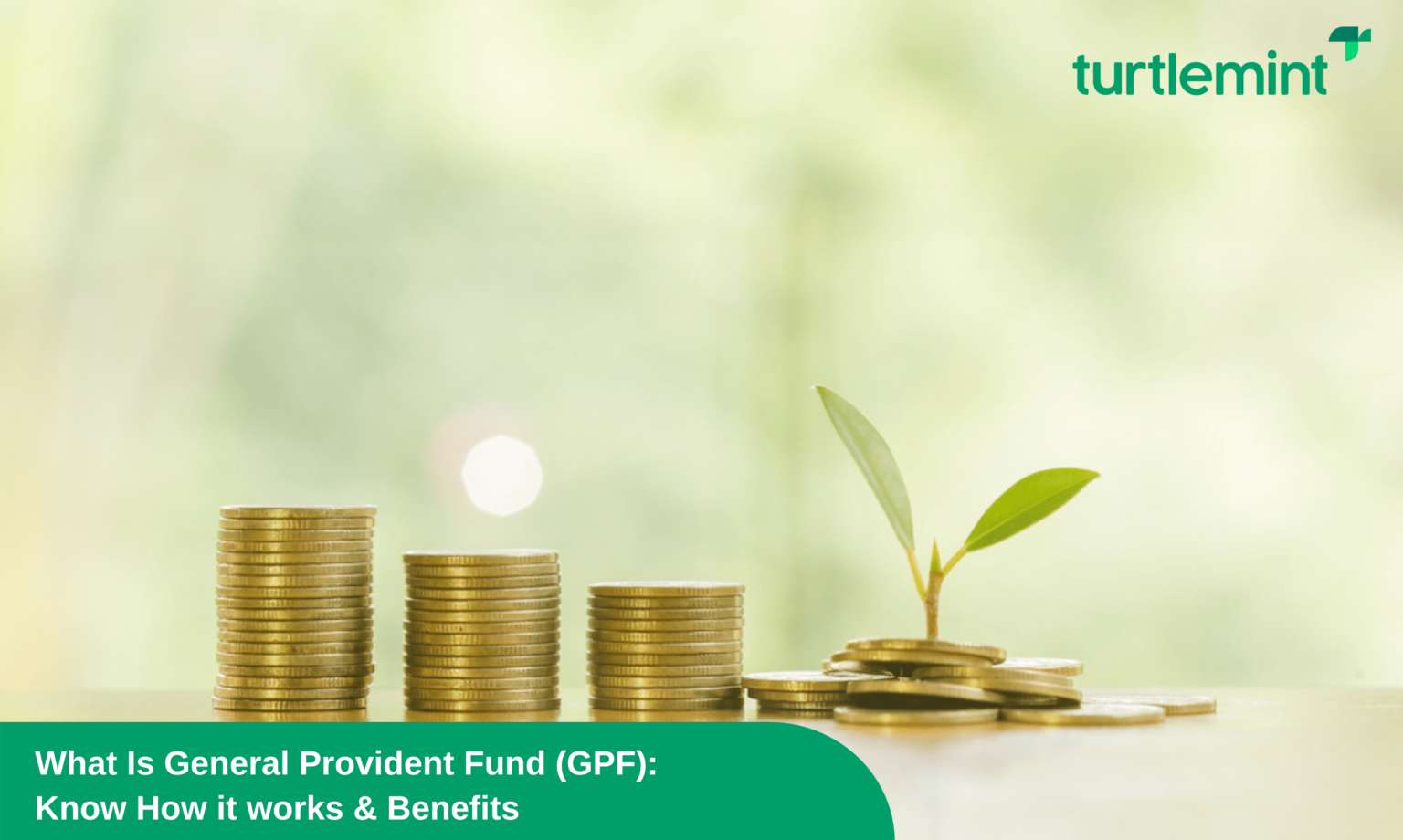 General Provident Fund (GPF): Interest Rates & Features