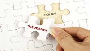 Know about single premium term insurance plan