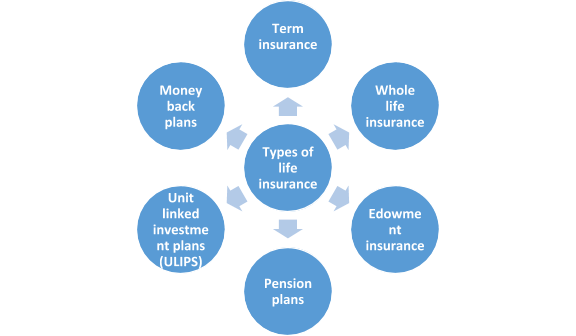 Types of life insurance policies